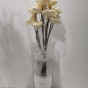white peony rose