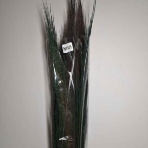 navy broom grass