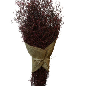 coral pink 200gm alpha grass