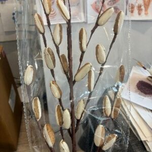 White Sola skin bud stick