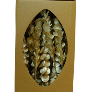 Palm pine tray