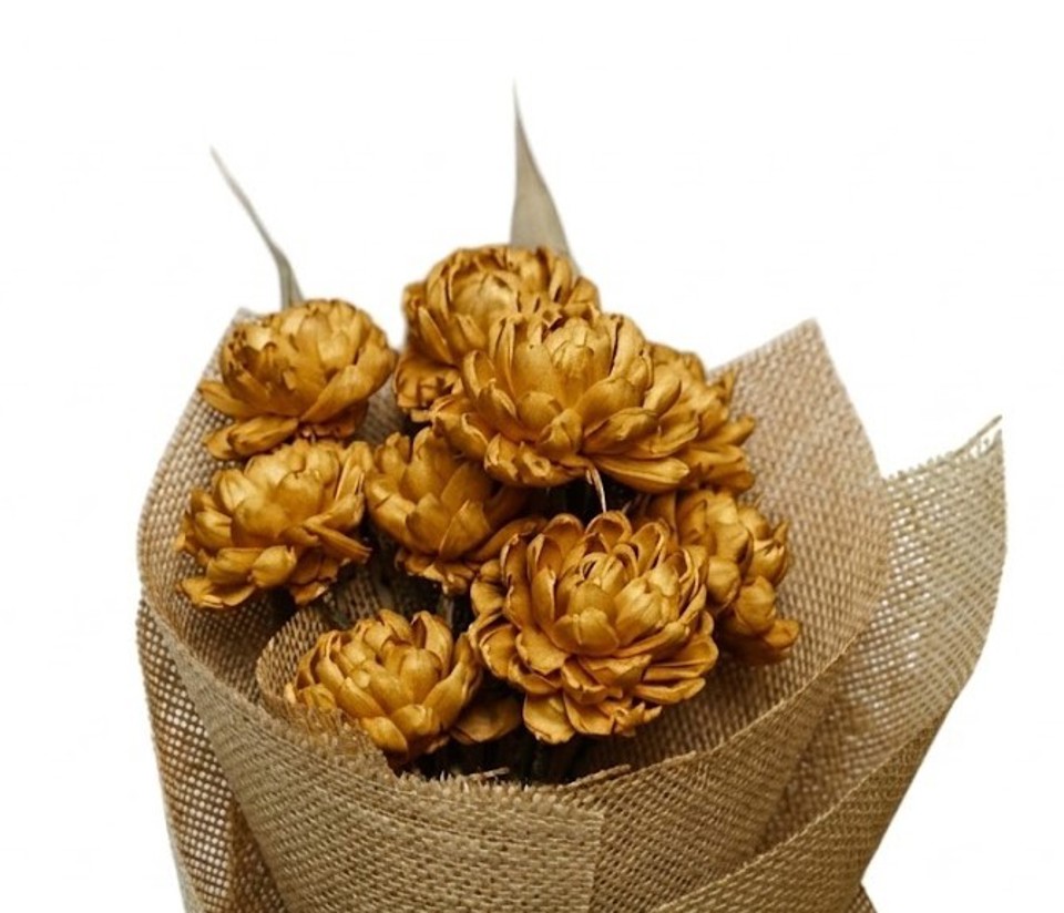 Rust chrysanthemum with leaves