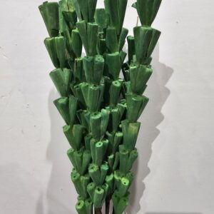 garden green shola tube rose