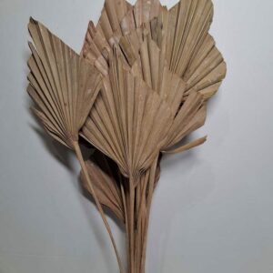 Peach palm spear