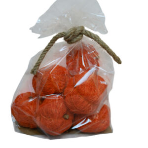 pumpkin coco bag