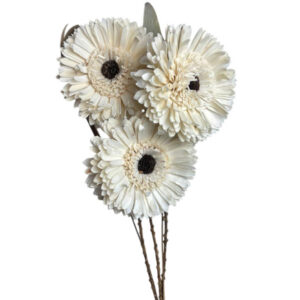Natural germini flower with leaves