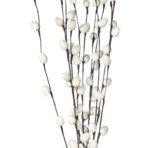 Natural shola bud stick