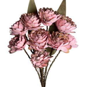 Coral pink slice flower