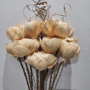 peach peony rose