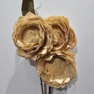 Peach lotus flower