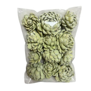 natural chrysanthemum bag