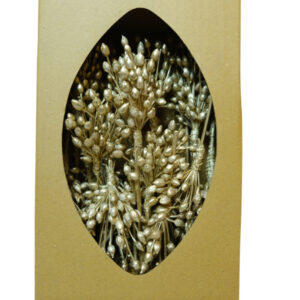 Moti bunch tray