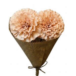 Peach carnation
