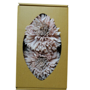 Zinniary tray