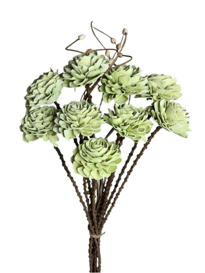 sage green dahlia flower