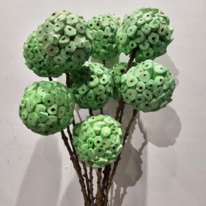 Garden green shola ata ball