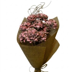 Coral pink mixed waterlily