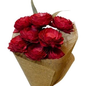 red lotus flower with leaves