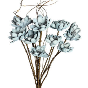 Grey poppy flower