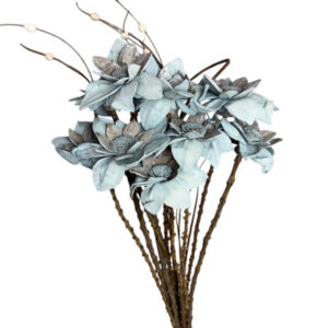 Grey flannel flower