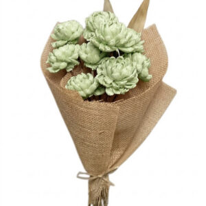 Sage green chrysanthemum with leaves