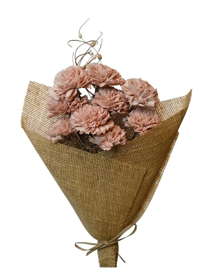 old pink carnation