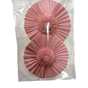 Coral pink carnation sun