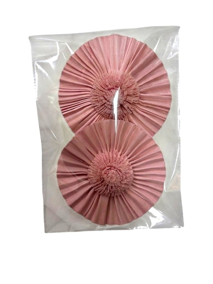 Coral pink carnation sun