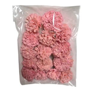 Pink carnation bag