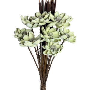 sage green poppy flower with cattails