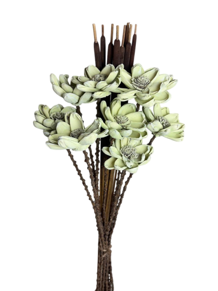sage green poppy flower with cattails