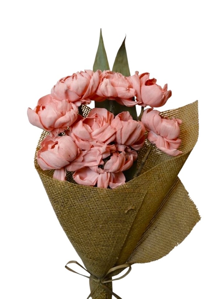 Coral pink peony flower with leaves