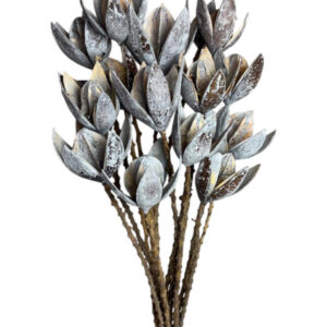 grey wild lily