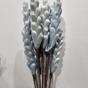 light blue shola pineapple