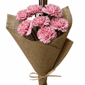 coral pink carnation with cattails