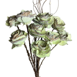 Sage Green skin cedar rose