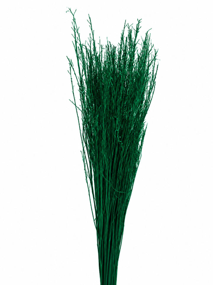 abundant green mustard grass