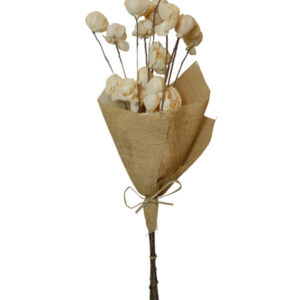 white ting peony rose